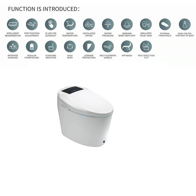 Modern Electronic Sanitary Ware, Modern Economic WC, Intelligent Toilet, Cheap Price
