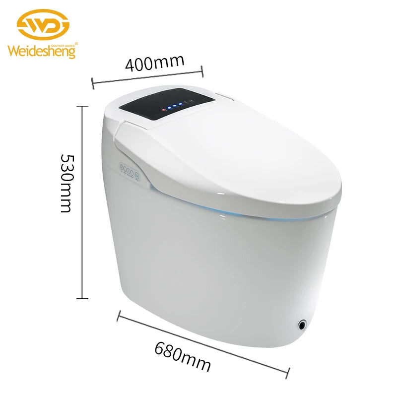 Modern Electronic Sanitary Ware, Modern Economic WC, Intelligent Toilet, Cheap Price