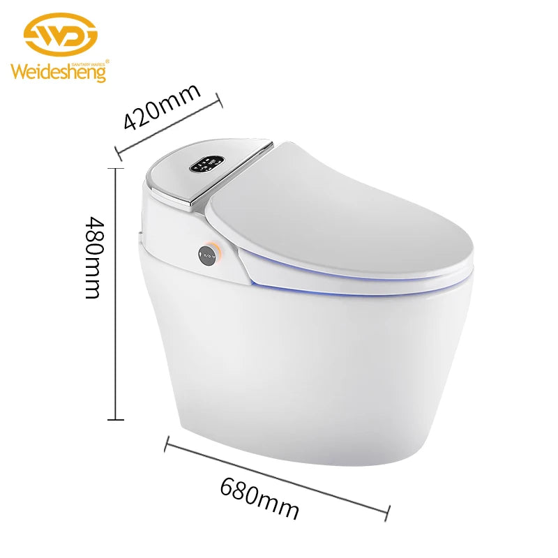 Modern Electronic Sanitary Ware, Modern Economic WC, Intelligent Toilet, Cheap Price