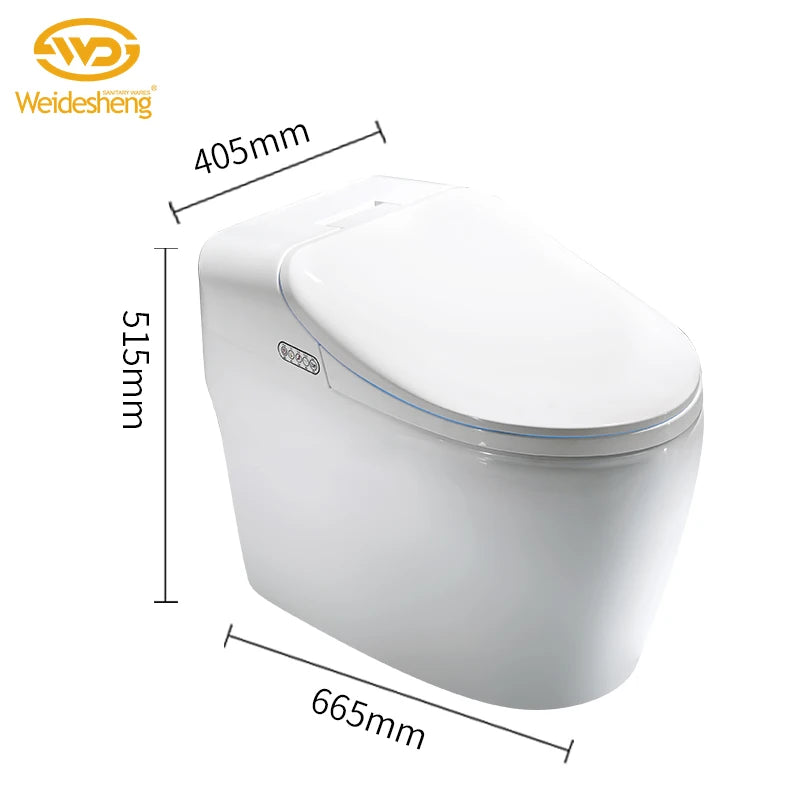 Modern Electronic Sanitary Ware, Modern Economic WC, Intelligent Toilet, Cheap Price