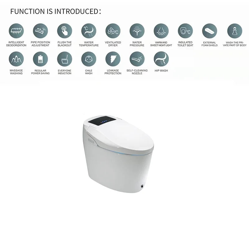 Modern Electronic Sanitary Ware, Modern Economic WC, Intelligent Toilet, Cheap Price