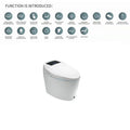 Modern Electronic Sanitary Ware, Modern Economic WC, Intelligent Toilet, Cheap Price