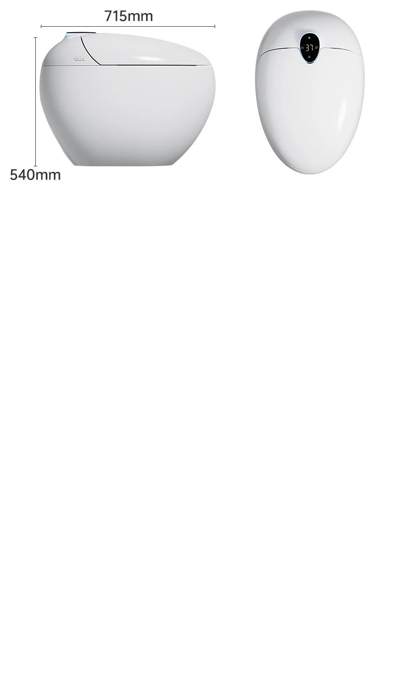 Bathroom Egg Shape Electric Automatic Flush Bathroom Ceramic Intelligent Smart Toilet
