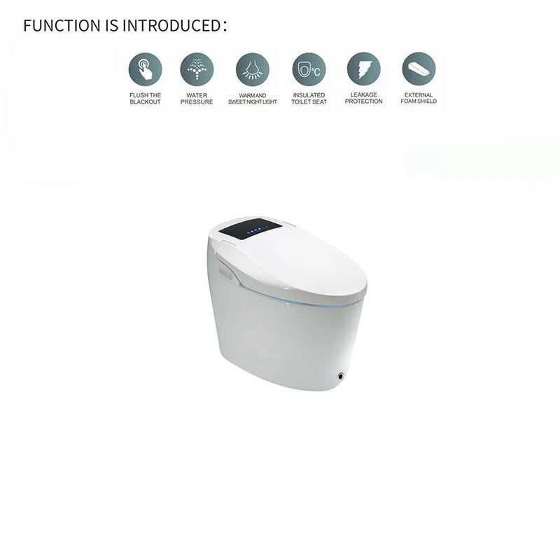 Modern Electronic Sanitary Ware, Modern Economic WC, Intelligent Toilet, Cheap Price