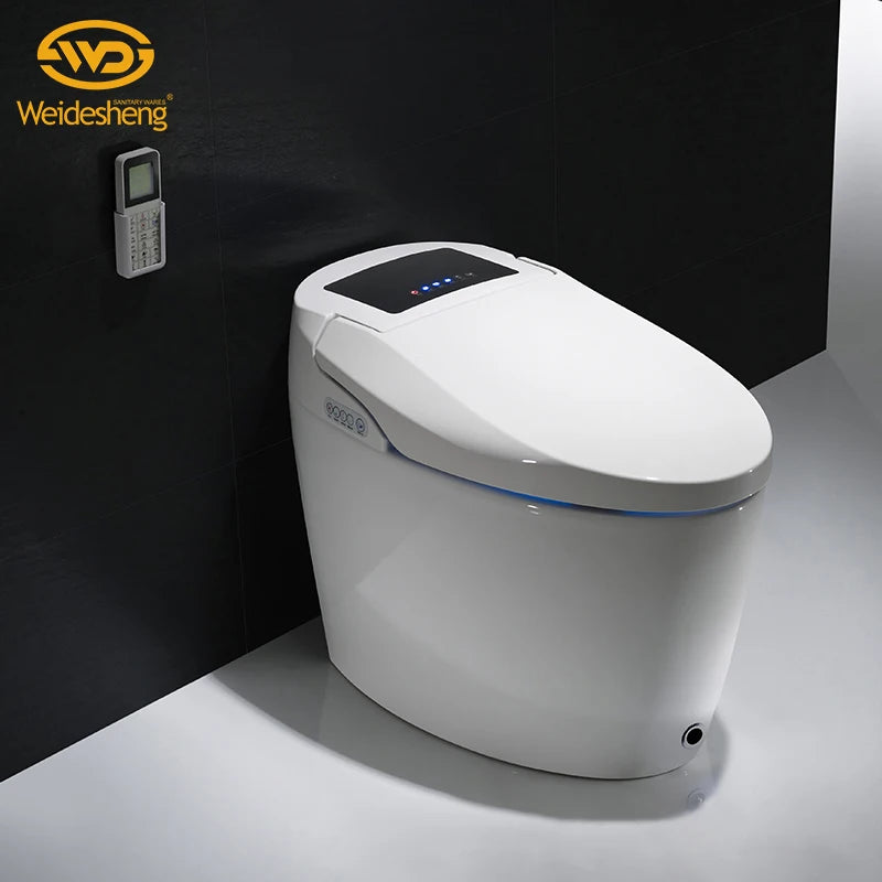 Modern Electronic Sanitary Ware, Modern Economic WC, Intelligent Toilet, Cheap Price