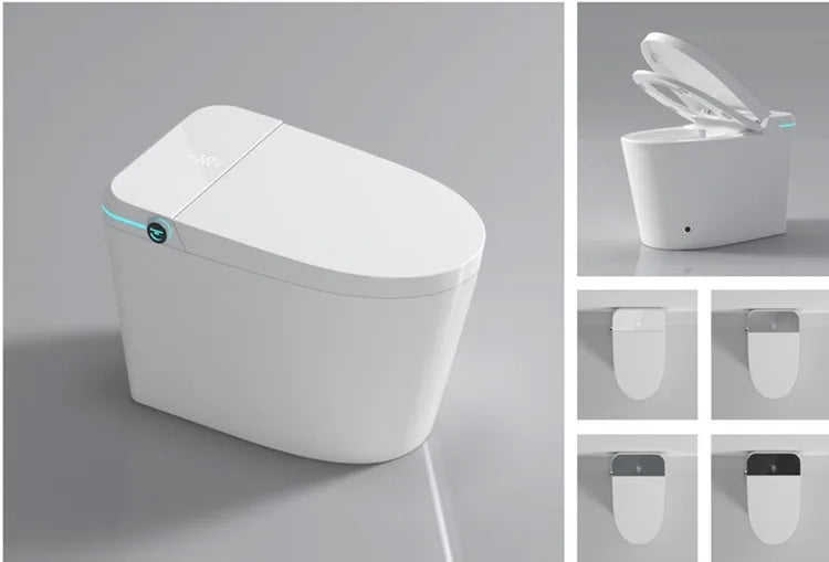 Chaozhou New Design Auto Washing Automatic Water Spray Smart Toilet for Bathroom