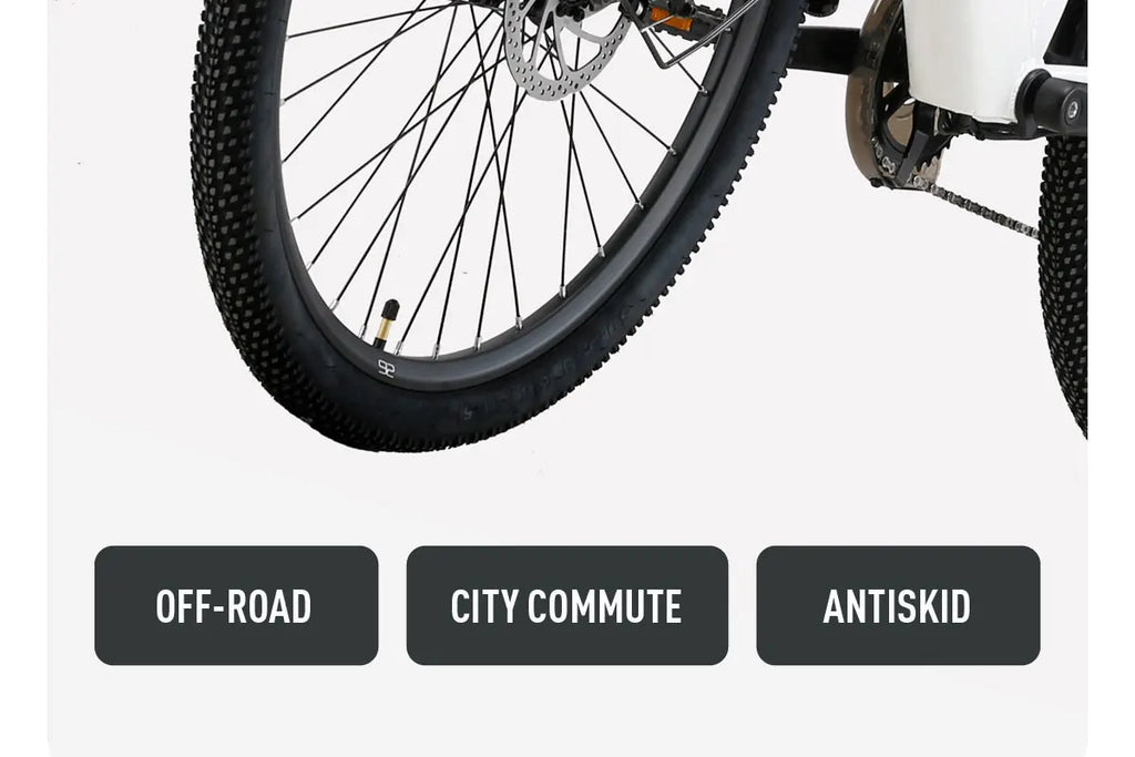 Cysum X-City Adult E-Bike 250W E-Bike for Men 48V 10.4ah Battery 26-Inch Tyre City E-Bike