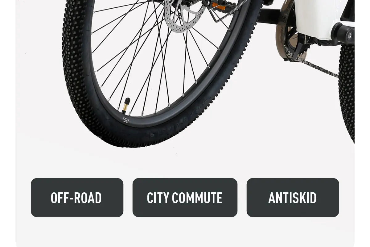 Cysum X-City Adult E-Bike 250W E-Bike for Men 48V 10.4ah Battery 26-Inch Tyre City E-Bike