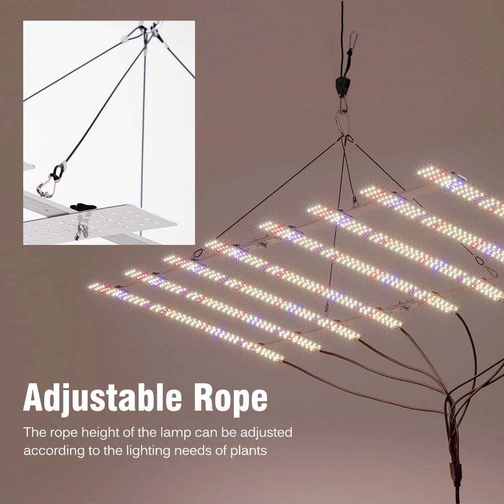 100W 200W Full Spectrum LED Grow Light AC100-277V LM281B For Plants Veg Flowers Greenhouses Plant Tent Growing Lamp