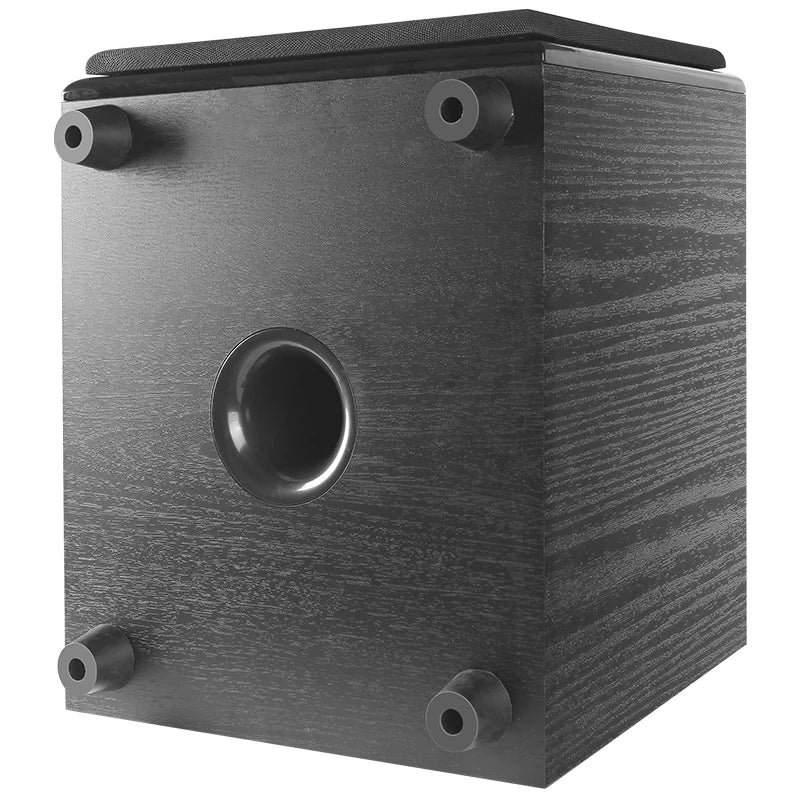 Top Selling 10 Inch Active Style Subwoofer Speaker  ASW-6689