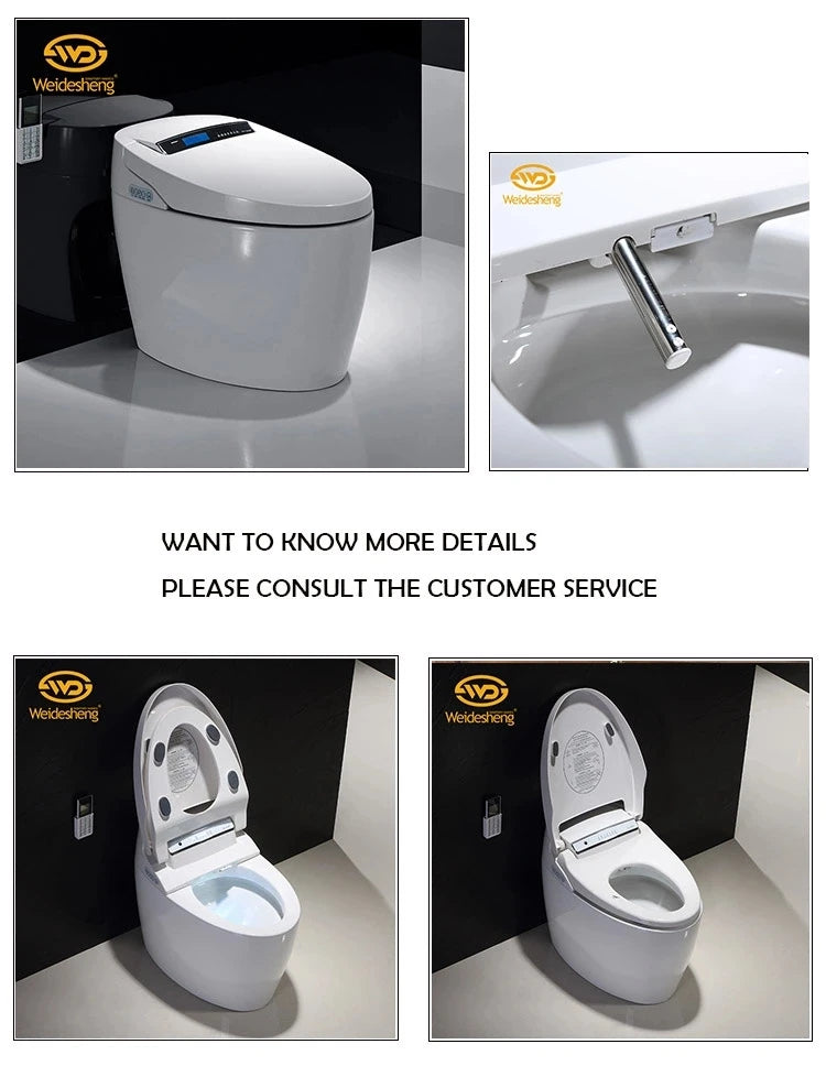 Modern Electronic Sanitary Ware, Modern Economic WC, Intelligent Toilet, Cheap Price
