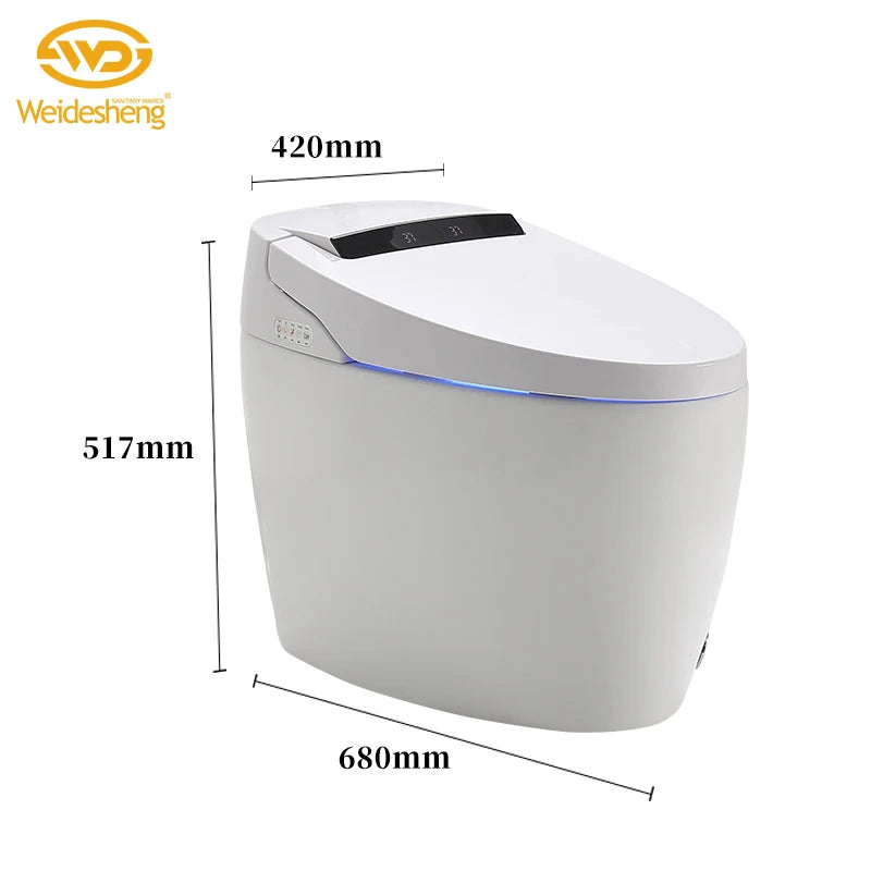Modern Electronic Sanitary Ware, Modern Economic WC, Intelligent Toilet, Cheap Price